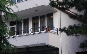 Levi Apartment